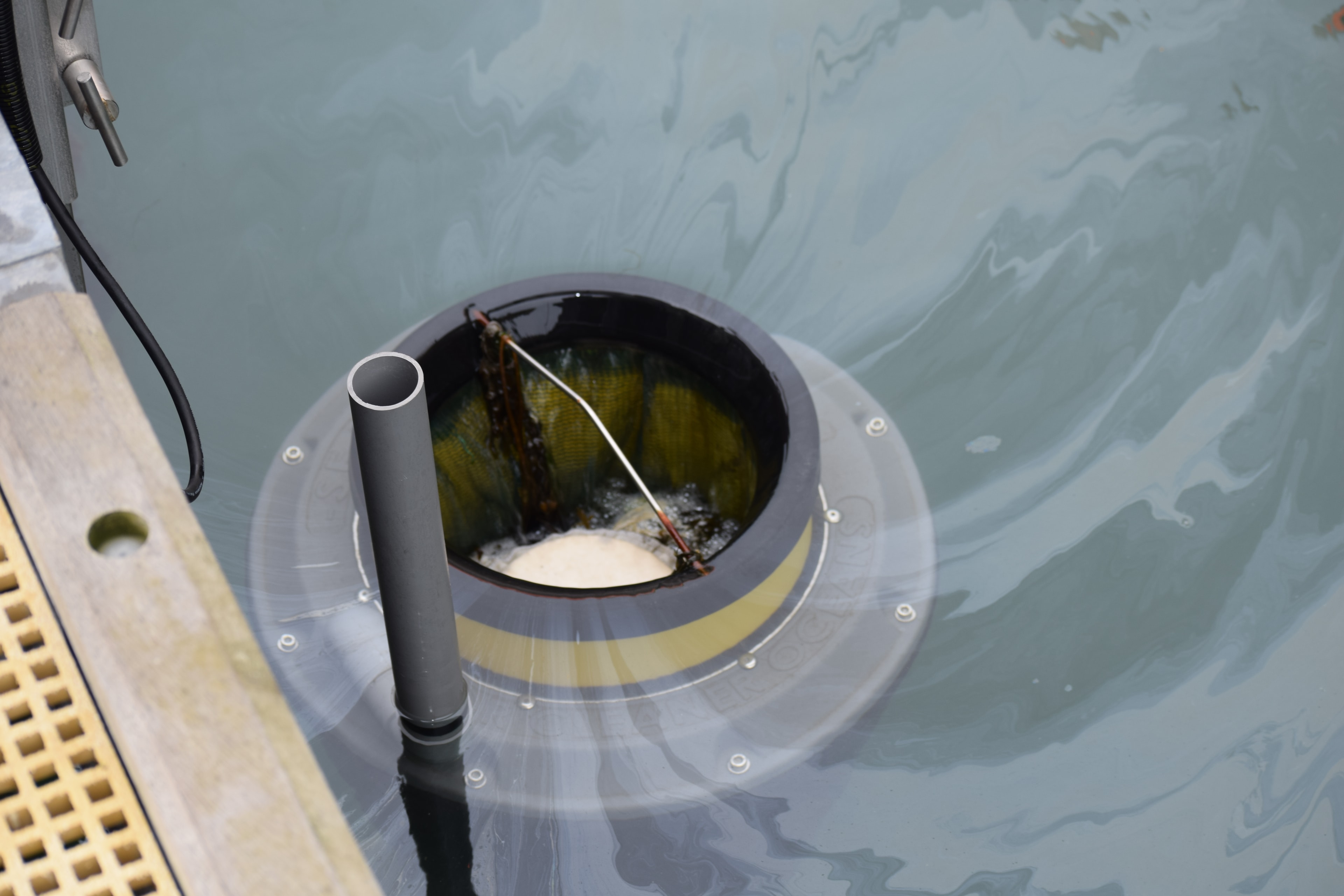 SeaBin device operating at Howth Harbour — collecting floating debris from the water surface