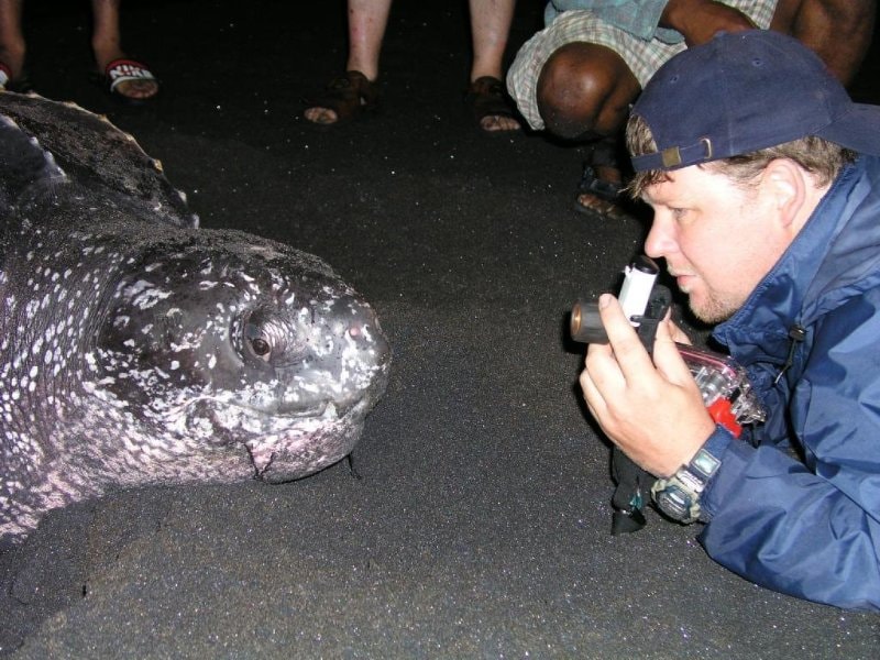 Rowan with a Leatherback, Dominica