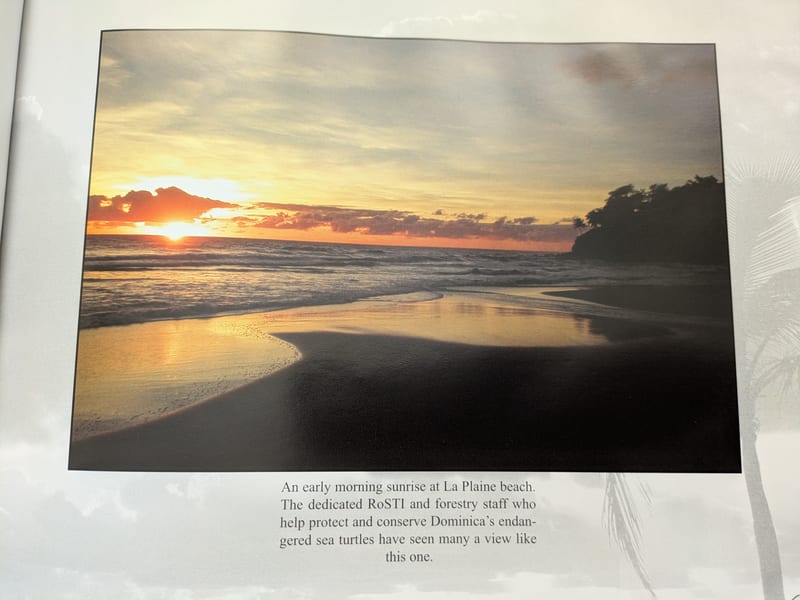 Early morning sunrise at La Plaine beach, Dominica — after night sea turtle patrols