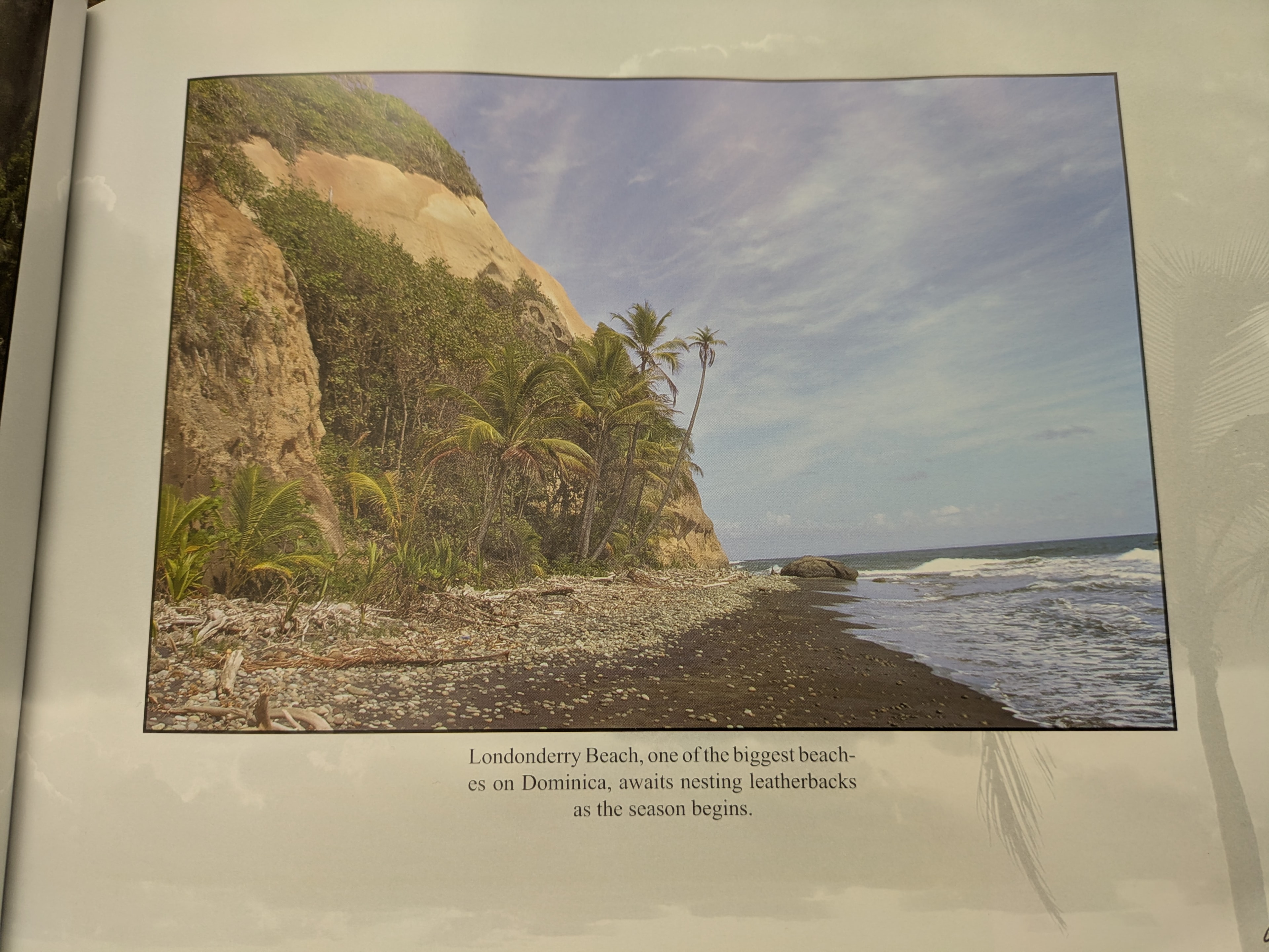 Londonderry Beach, Dominica — one of the biggest leatherback nesting beaches, awaiting the season