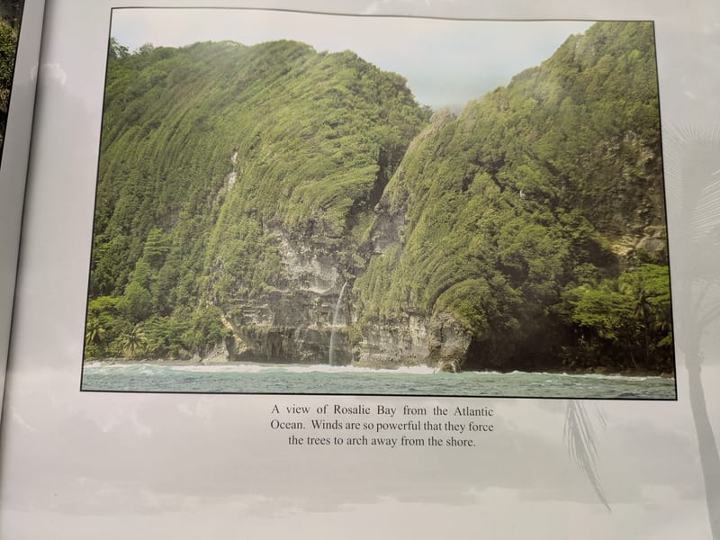 A view of Rosalie Bay from the Atlantic Ocean, Dominica — winds arch trees from the shore