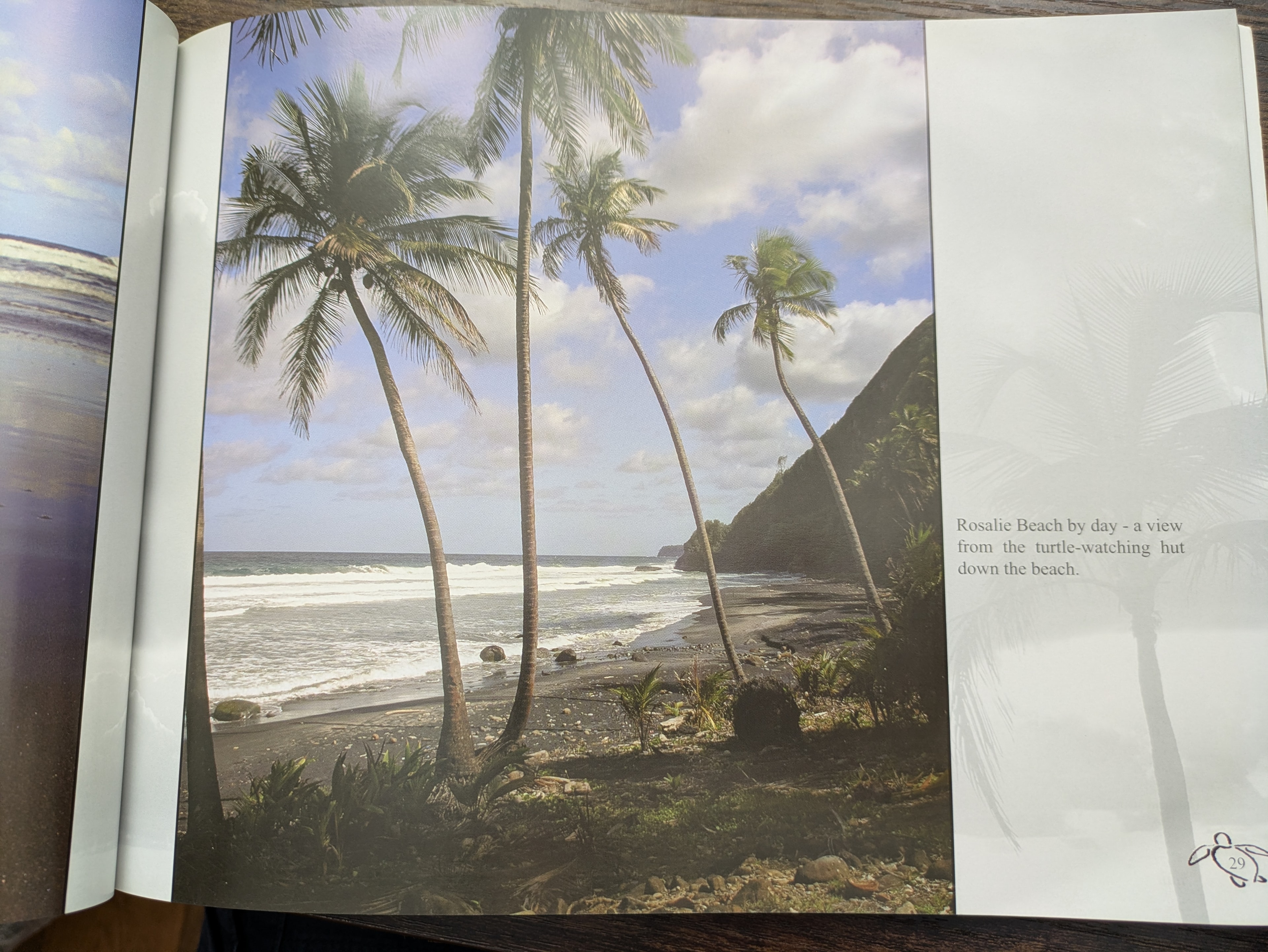 Rosalie Beach by day — view from the turtle-watching hut, palm trees, Dominica