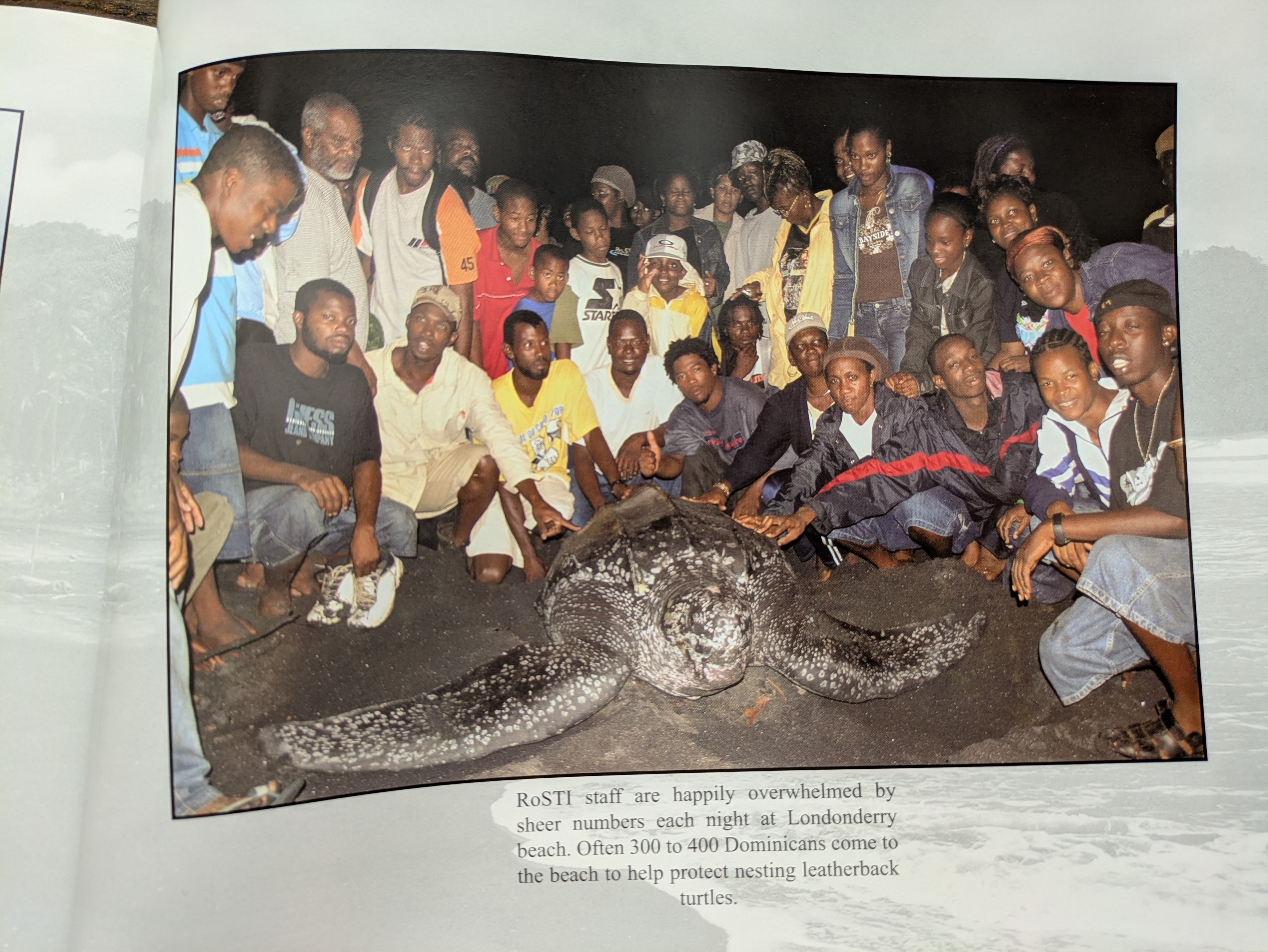 RoSTI staff happily overwhelmed by 300 to 400 Dominicans at Londonderry Beach to help protect nesting leatherback turtles