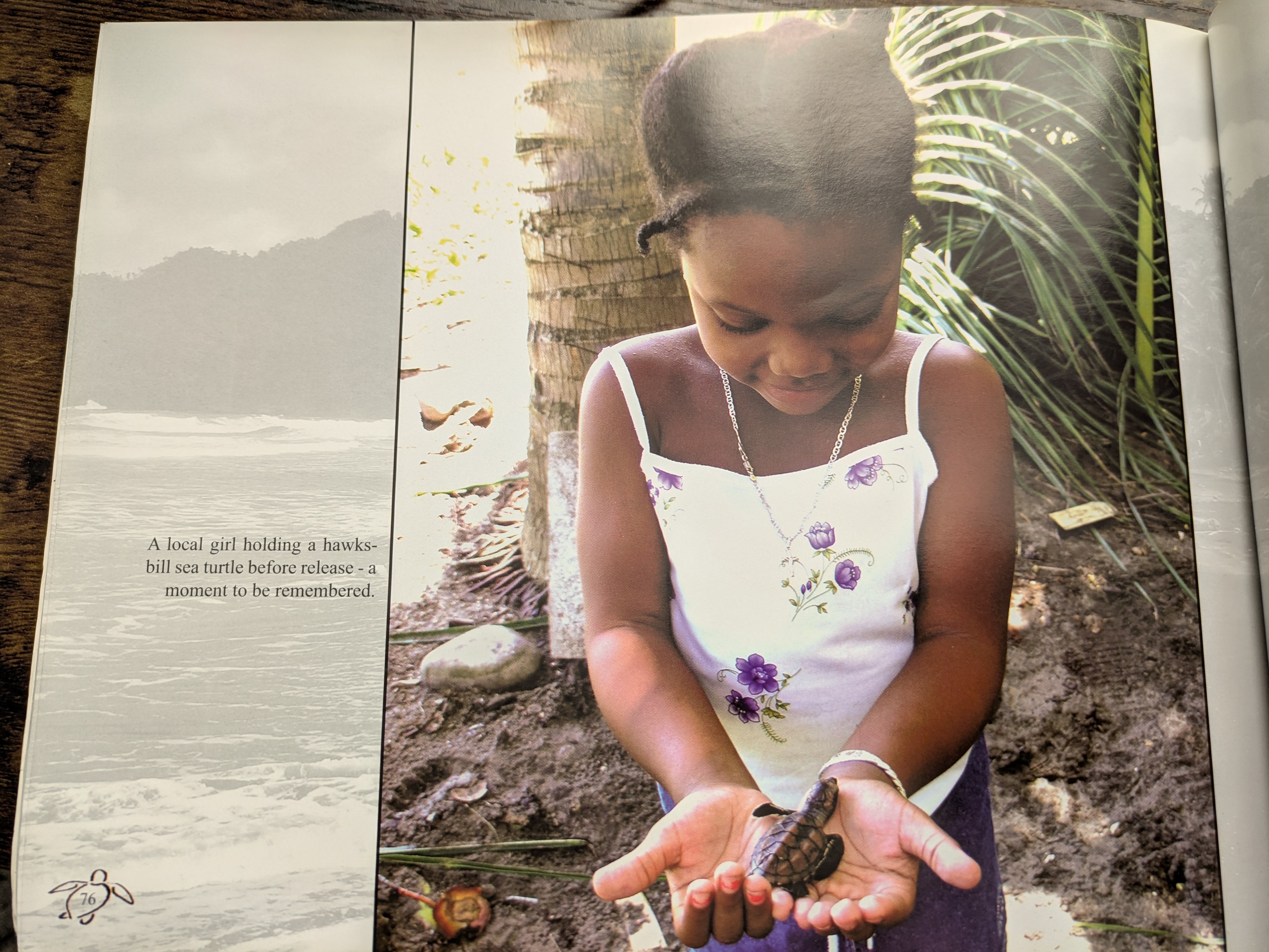 A local Dominican girl holding a hawksbill sea turtle before release — a moment to be remembered