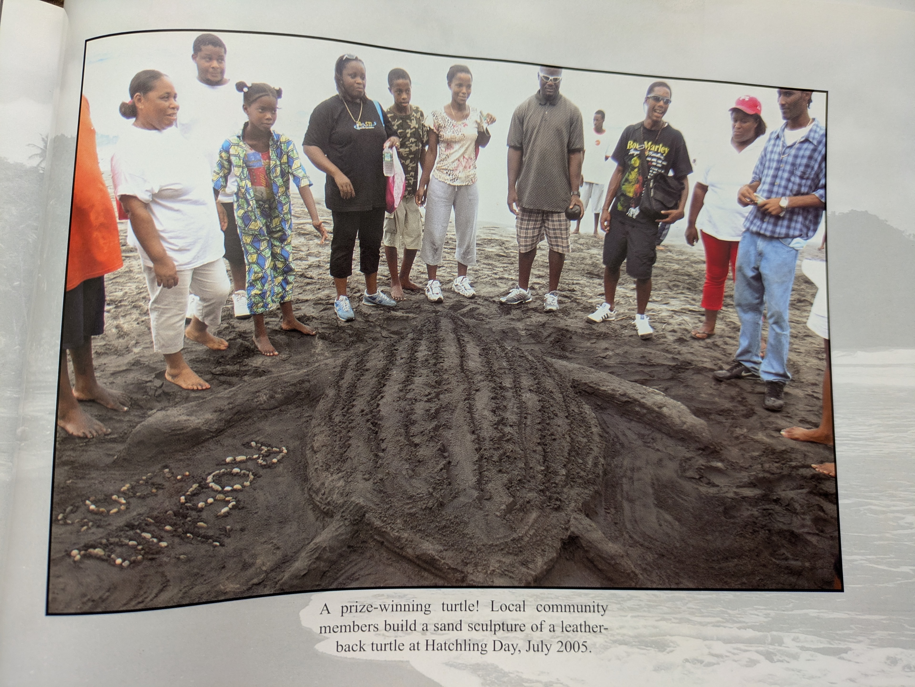 A prize-winning sand sculpture of a leatherback turtle built by local community members at Hatchling Day, July 2005
