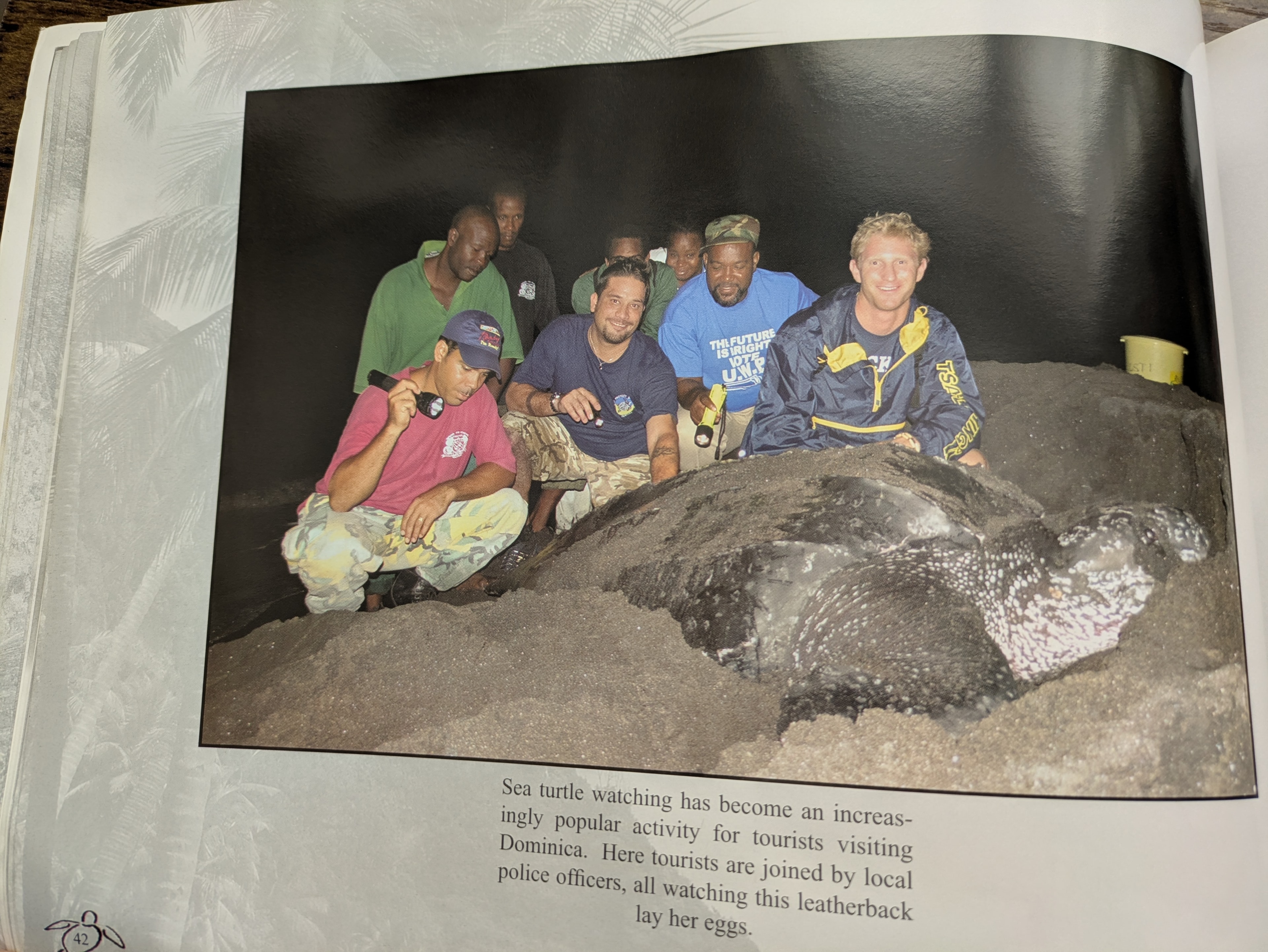 Tourists and Pirates of Caribbean staff watching a nesting leatherback sea turtle, Dominica