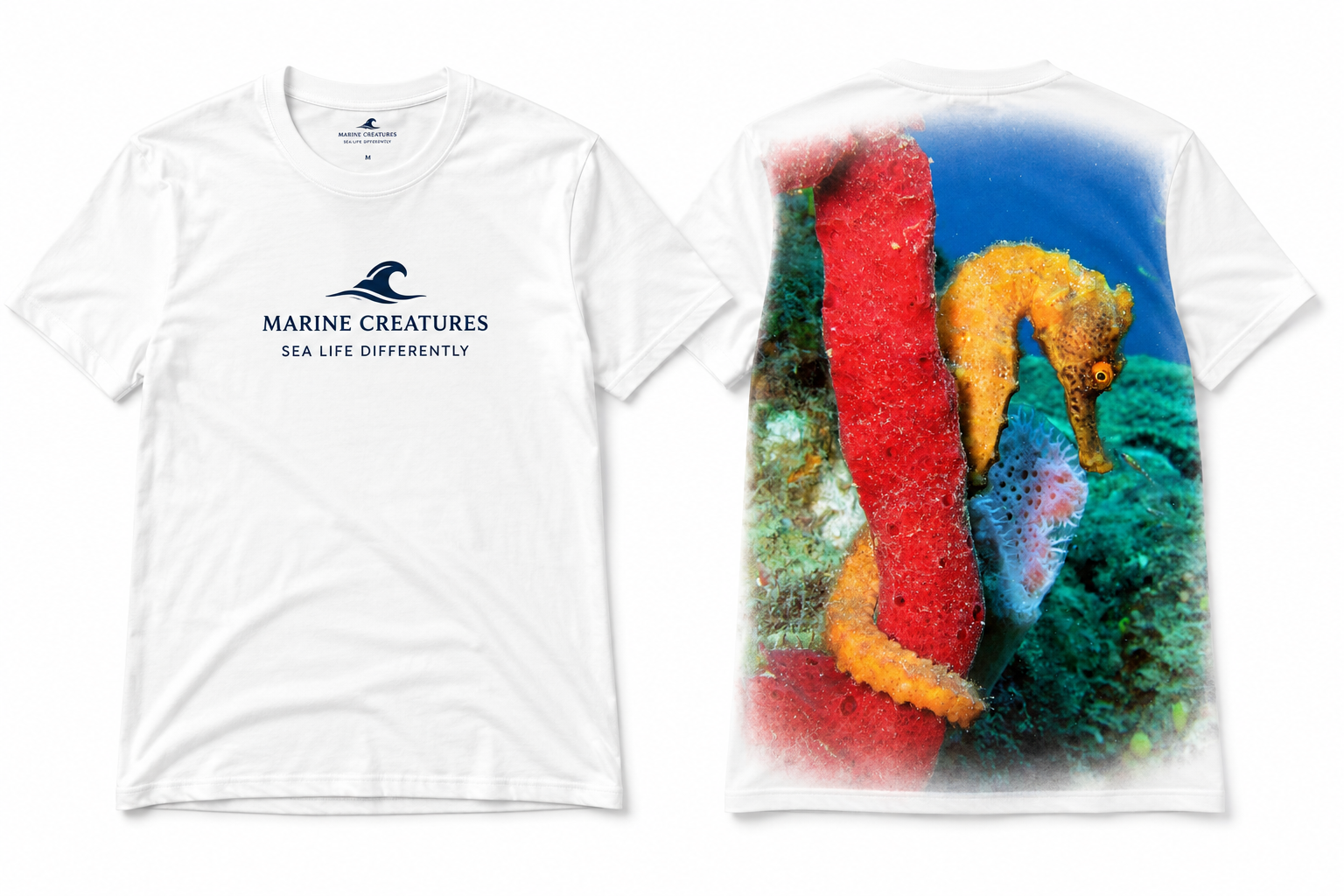 Marine Creatures Longsnouted Seahorse Dominica T-Shirt — Rowan Byrne