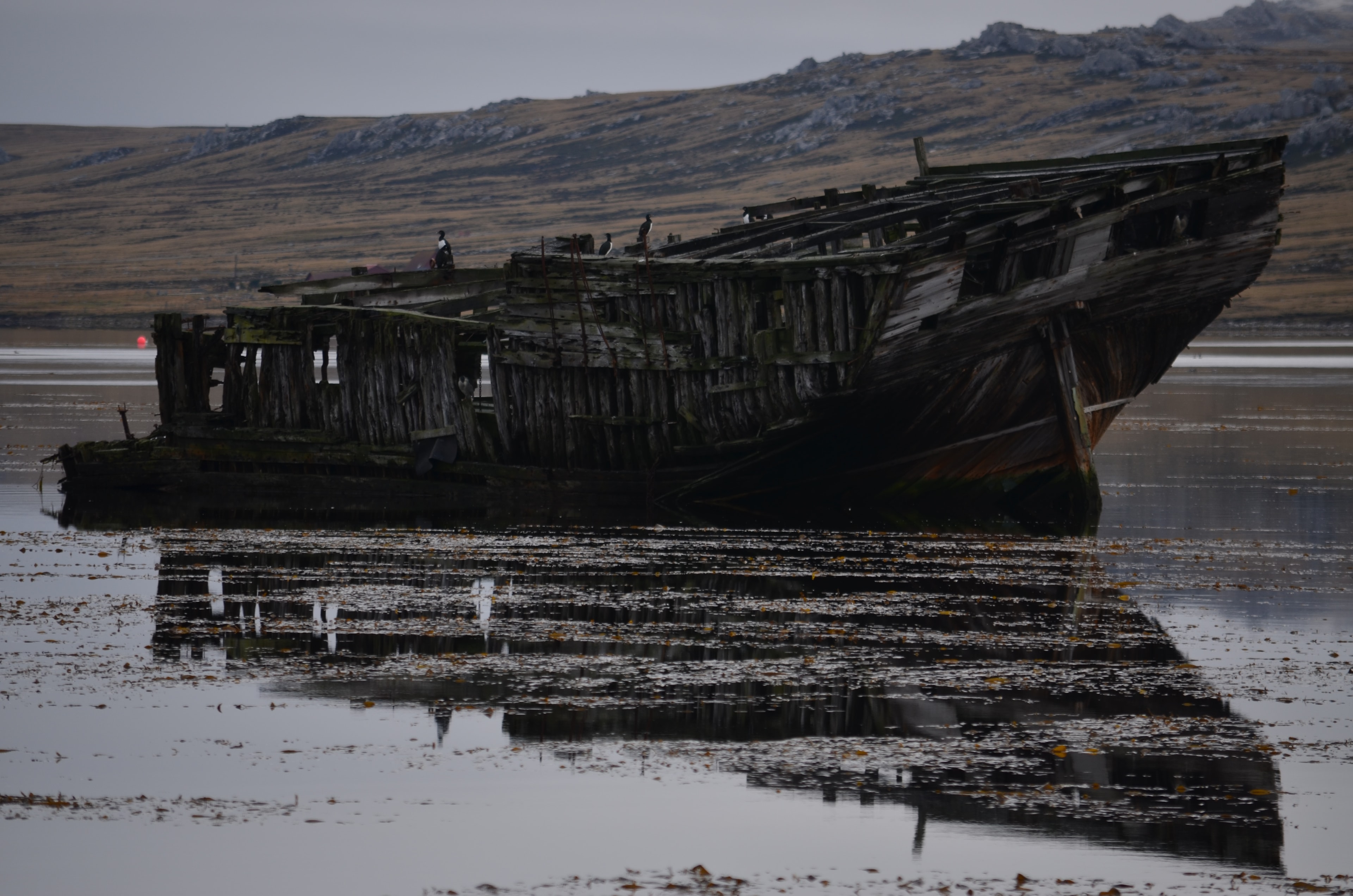 Weathered shipwreck in tidal water near Port Stanley in the Falkland Islands